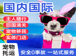 鸡西兴凯湖机场托运国际宠物托运 【国